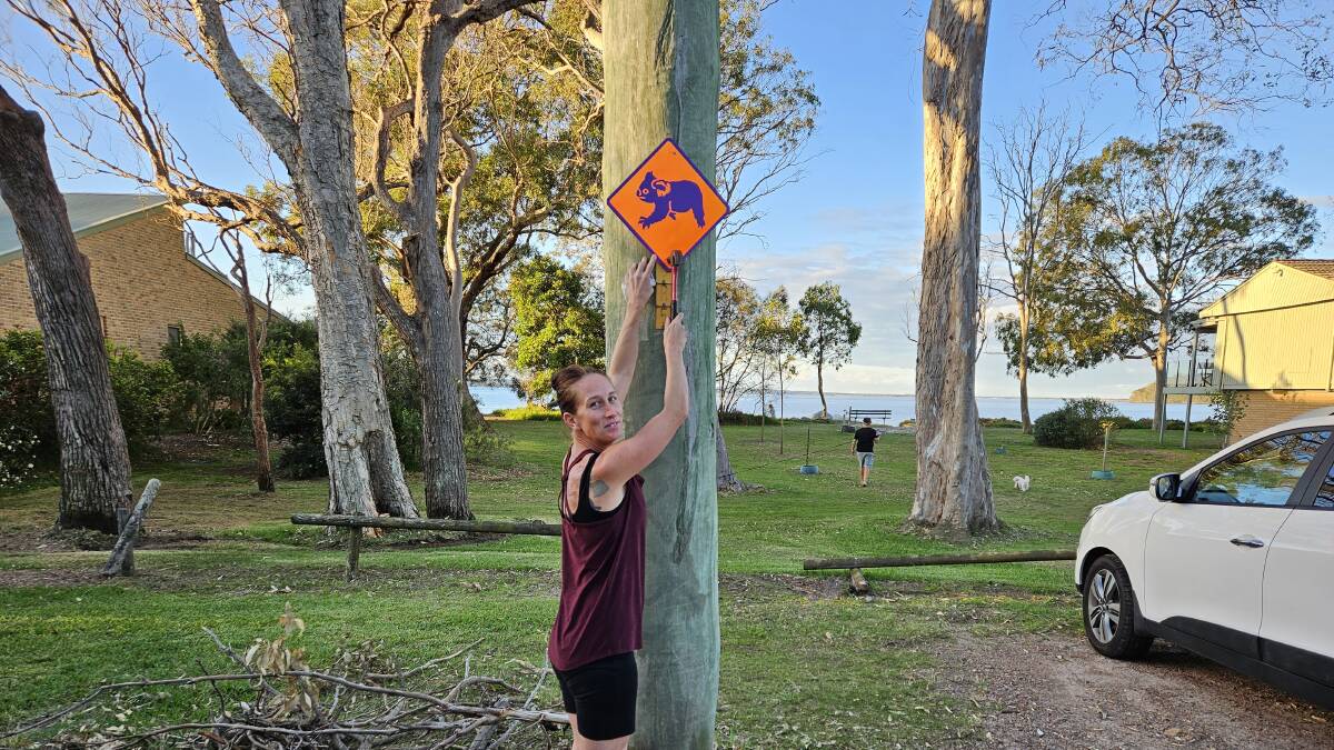 Casey Freeman with her bright and noticeable koala signs on Port Stephens Drive. Picture supplied