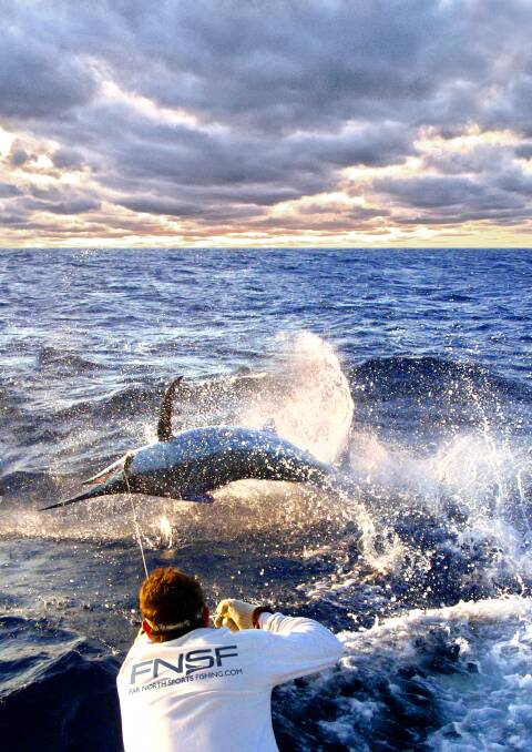 LEAPING TO ATTENTION: Nothing gets the heart beating quite like a big pelagic looking to come aboard your vessel.