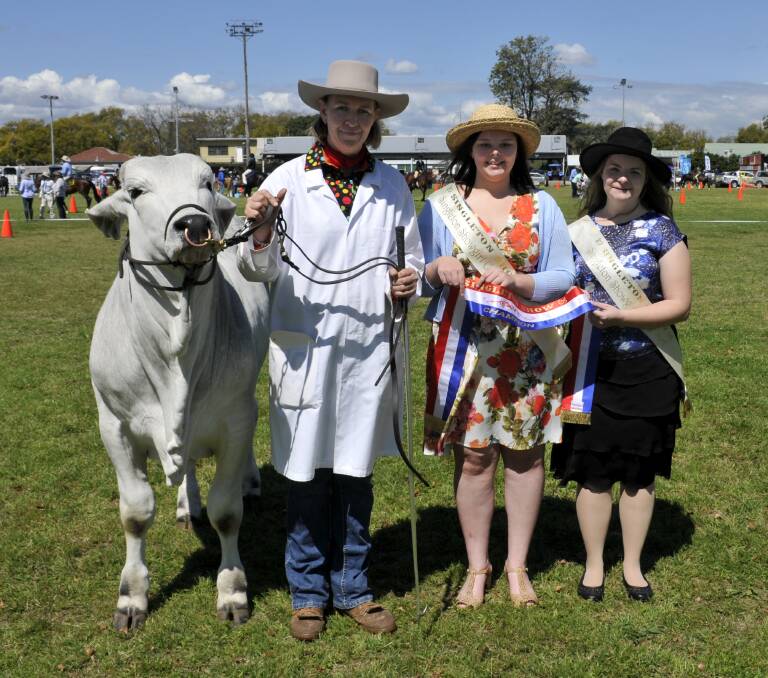 Beef cattle and horse judging, woodchop, Bride Running and Wife Carrying Championship