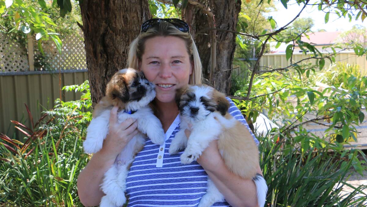 PUPPY LOVE: Debbie Jones with Barney and Dusty, the puppies that will offer support at Port Stephens Family and Neighbourhood Services.