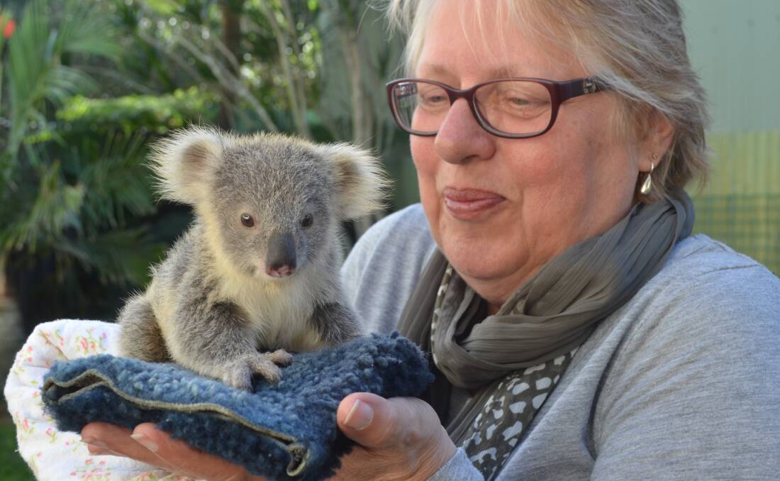 PRICE IS RIGHT: Stuart Benjamin of Anna Bay suggested a monetary value could be placed on koalas and other fuana.