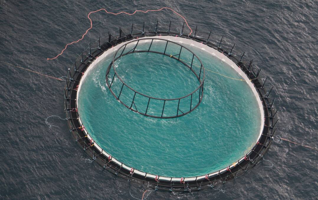 THEN: The Huon yellowtail kingfish farm as the time of stocking 12 months ago. Picture: Sam Norris