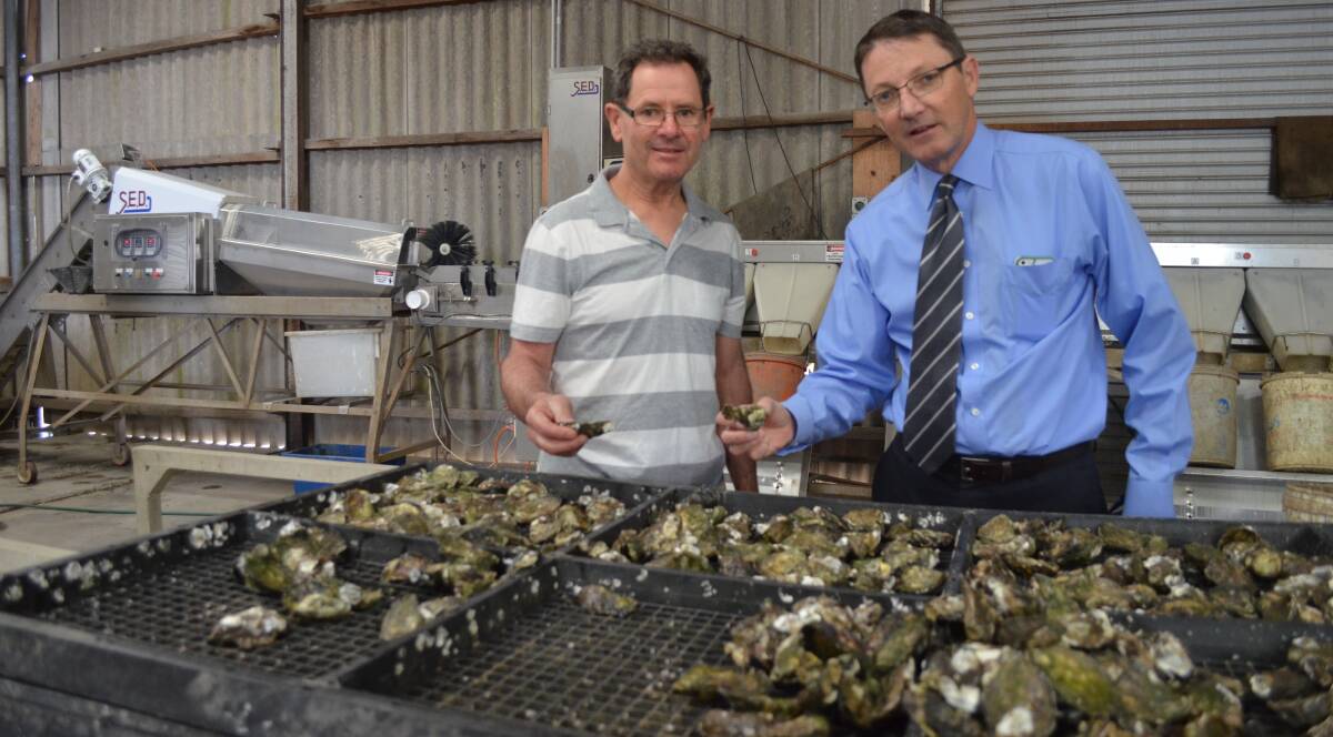 GREEN CREDENTIALS: Oyster farmer Rob Diemar and Parliamentary Secretary for the Hunter Scot MacDonald with the more environmentally-friendly plastic racks.