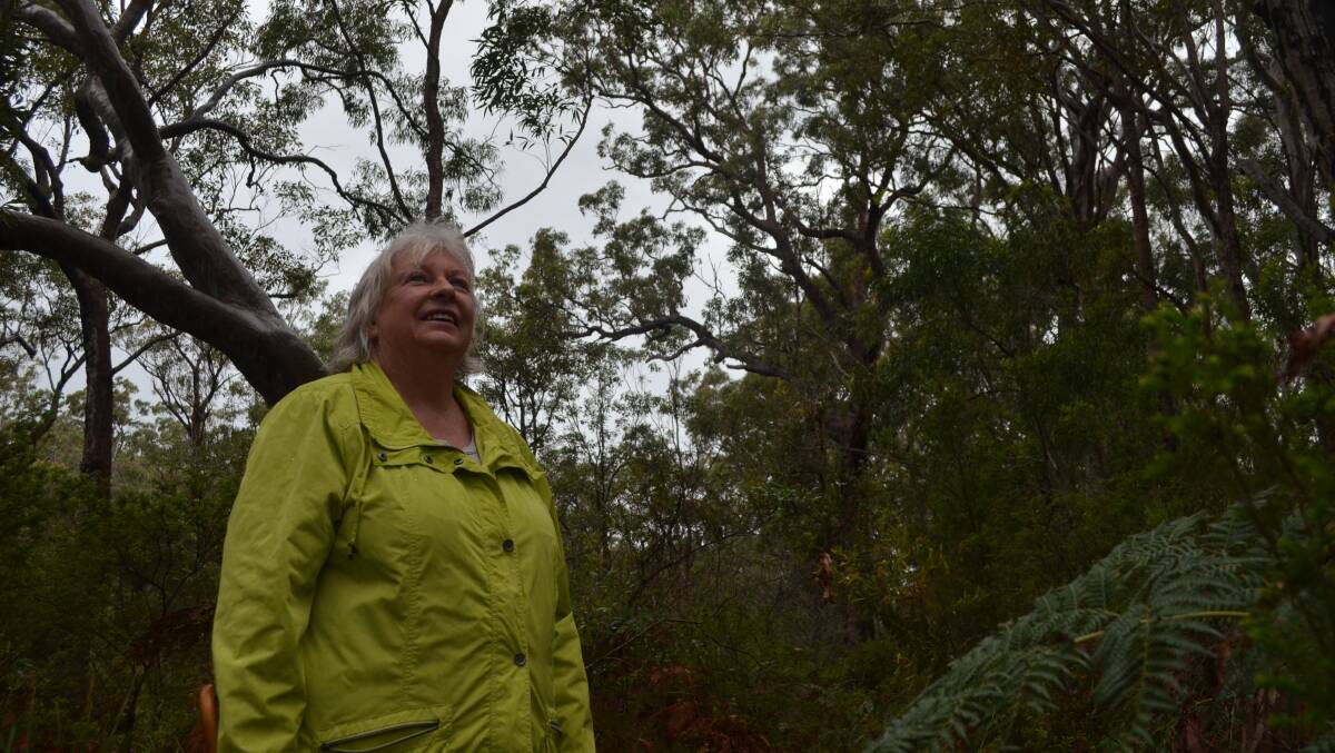 WELCOME: Robyn Williams of the Port Stephens Greens is behind a walk at Mambo on Saturday from 10am to reveal its hidden treasures. Picture: Sam Norris