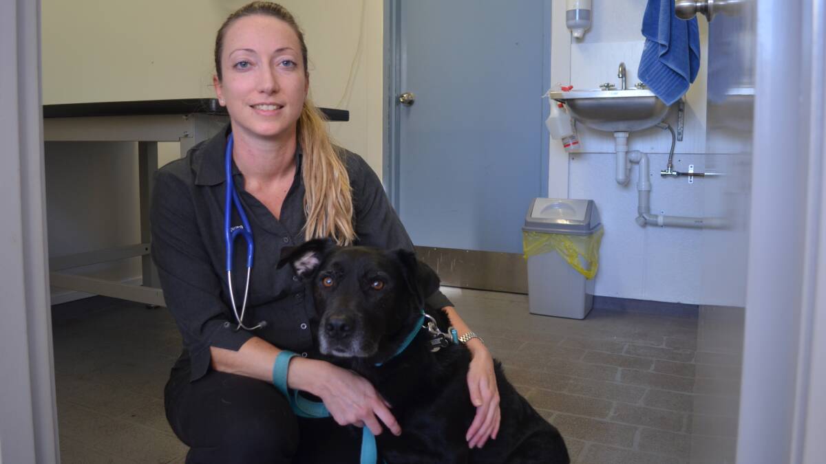 CLOSE WATCH: Dr Laura Chapman from the Noah's Ark Veterinary Clinic at Nelson Bay with labrador-cross, Fletcher. She like other vets is urging people to vaccinate. Picture: Sam Norris
