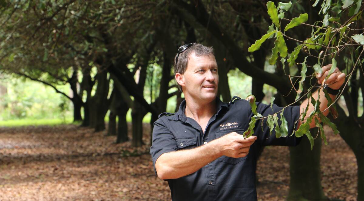 LIKE NO OTHER: Scott Leech said macadamia production had a challenges different to any other form of agriculture. Picture: Sam Norris
