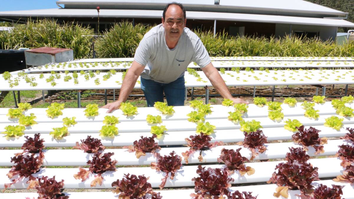 FINALIST: Nick Arena is in the running for NSW Farmer of the Year. His fancy lettuce can be seen from his on-farm restaurant, Cookabarra. Picture: Sam Norris