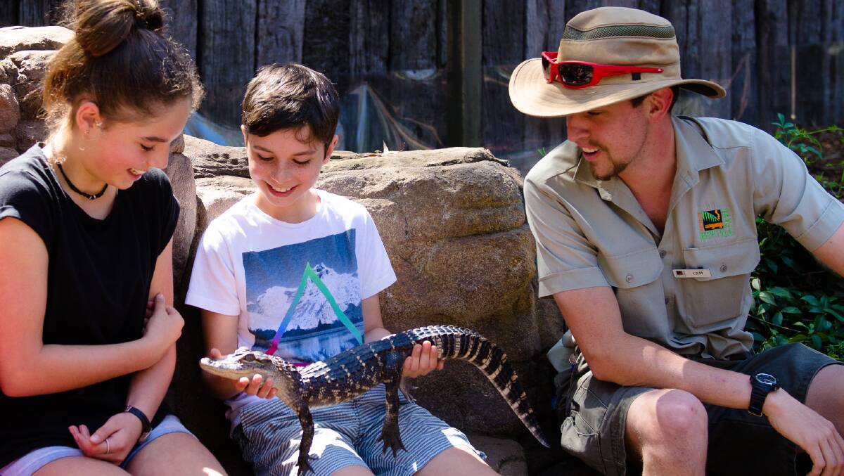 COMING ATTRACTIONS: The Australia Reptile Park will present a free show as part of the Nelson Bay Australia Day celebrations. Picture: Supplied