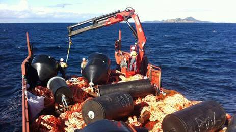 BETTER FOR WHALES: International research has shown that whales are more likely to see orange mooring ropes than green or white. Picture: Supplied