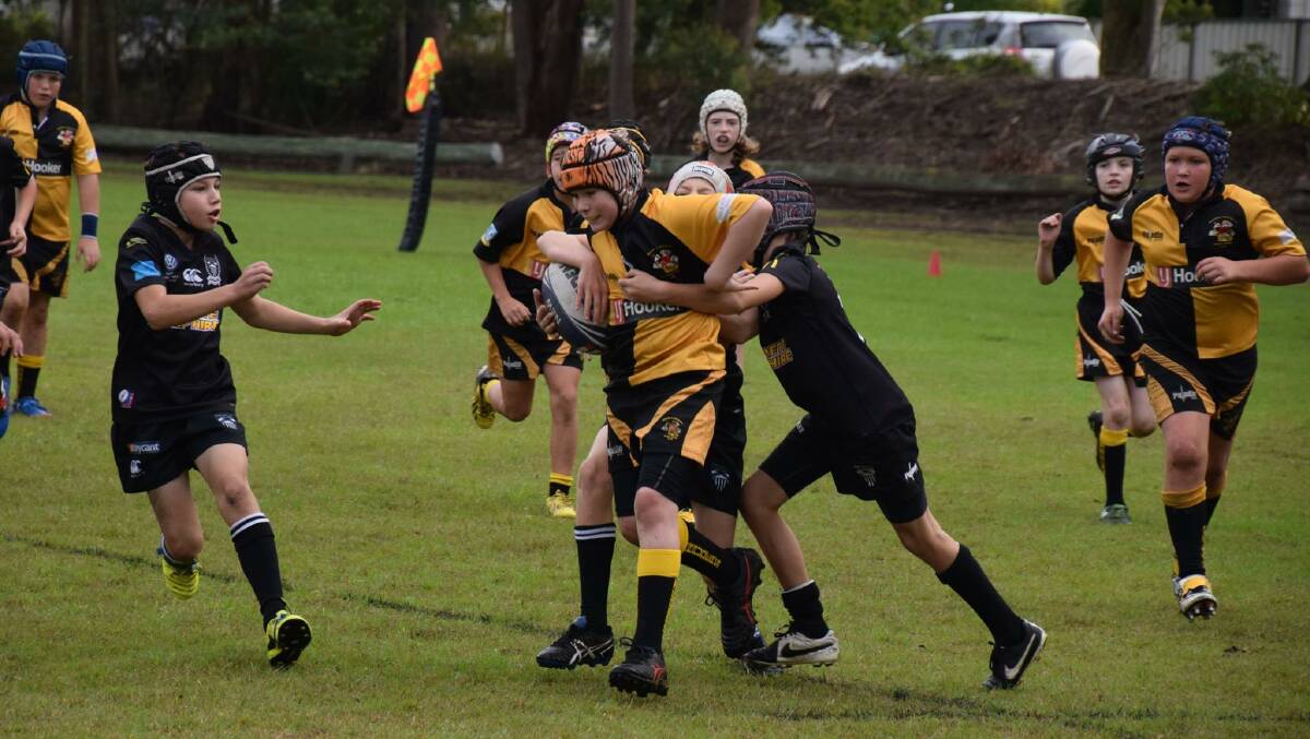 STRONG RUN: One of the juniors from Medowie's Under 11s finds a way through the Maitland Black's defence.