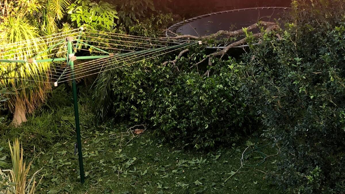HIT HARD: Di Atkinson snapped this photo of the storm's aftermath.