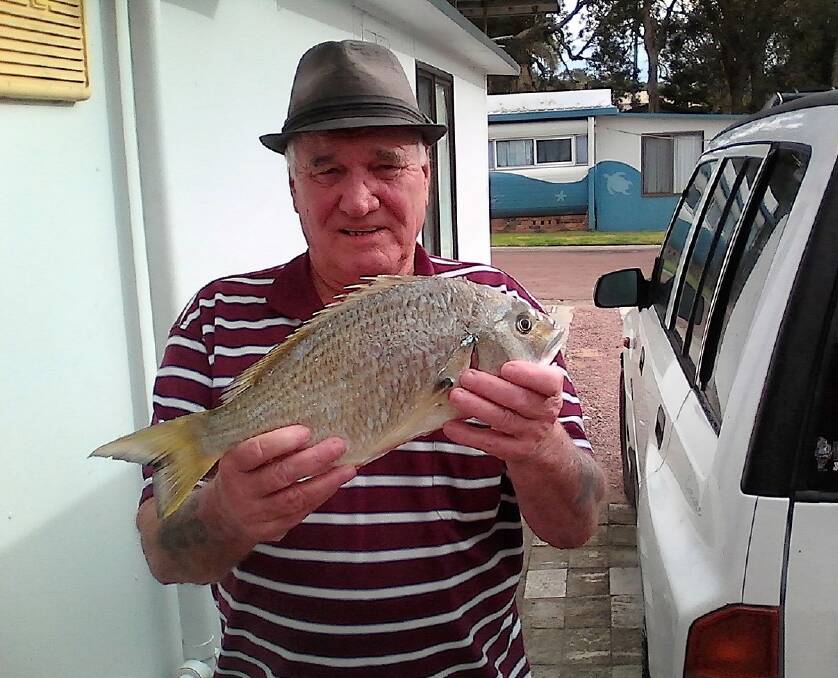 PIPI POWER: Stockton Beach champ 'Schoie' with a solid 45cm bream caught on pipi.