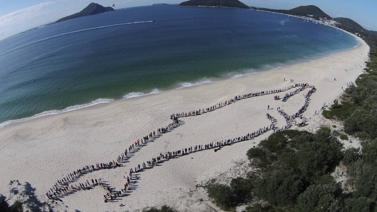 BIG ATTEMPT: Hundreds of people turned out to Shoal Bay Beach last year for the human whale event, which is attracting more and more numbers every year. Picture: Daniel Aldrich 