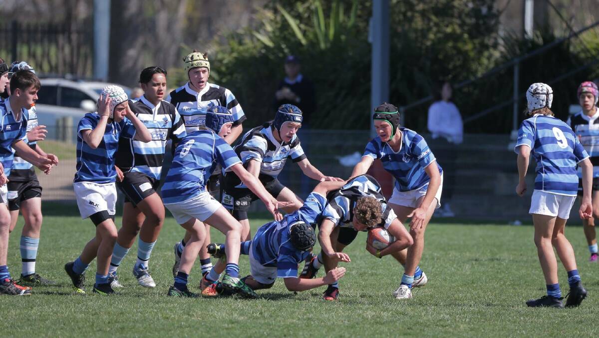 TACKLED: Nelson Bay Junior Rugby Union in action last weekend. Picture: Facebook/Nelson Bay Junior Rugby Union