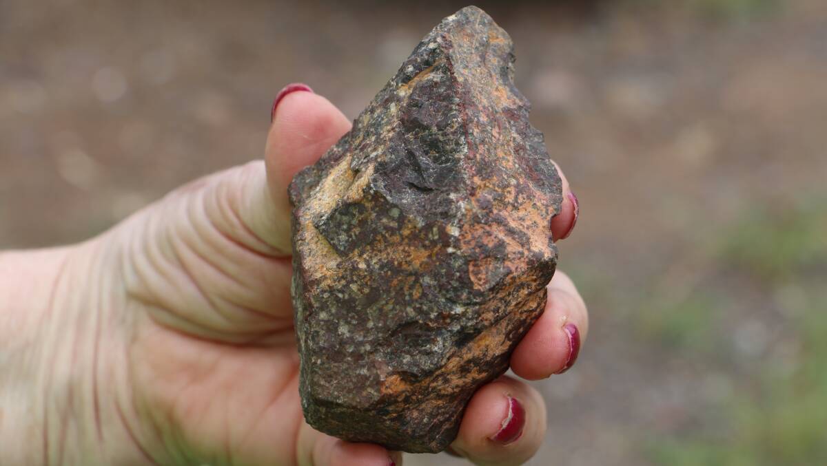 SIGNIFICANT?: The stone found by Boomerang Park Action Group member Helen Brown is believed to have Aboriginal significance. The palm-sized stone is smooth on two sides, where it sits in the hand, and jagged on the outer edge. It is believed to be a cutting tool.