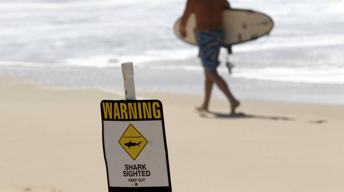 WARNING: A shark was reported to have been sighted at Birubi Beach and Shoal Bay on Thursday.