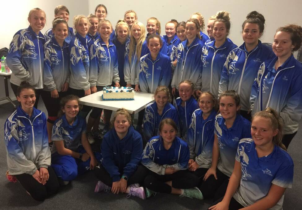 EXCITED: Some of the Port Stephens Netball Association girls playing in the 2017 State Age Championships. They were sent off with a cake on Wednesday. Picture: Facebook
