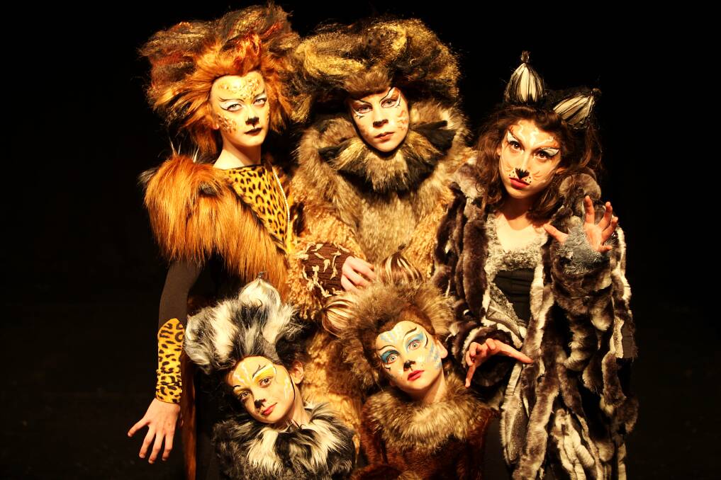 TALENTED: (Top, from left) Oskar Sutherland, 13, James Beath, 14, Bridget Phipps, 14, (bottom) Hugo Sutherland, 8, and Hugh Beath, 11, are part of Youth People's Theatre production of CATS. Picture: Supplied