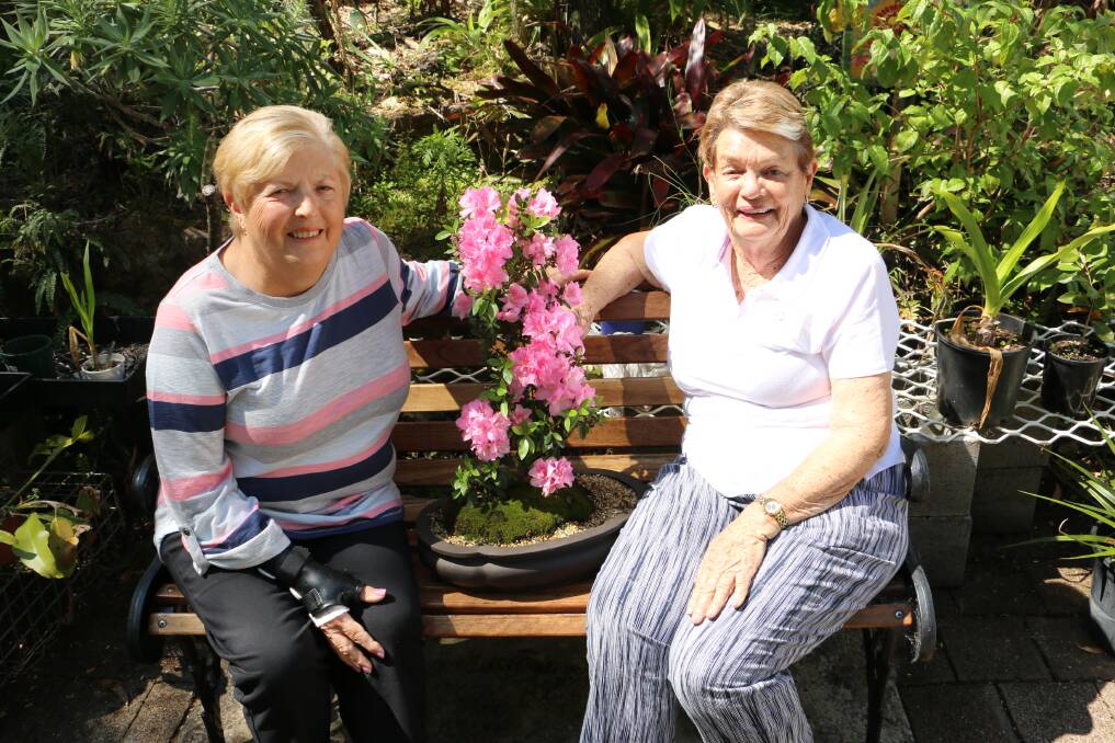 Marilyne Anderson with one of her bonsai plants, and Yvonne Hill.