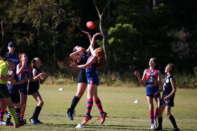 Nelson Bay Marlins under-12 girls team (in blue) in action. The girls, many new to AFL, have gone through the season undefeated.