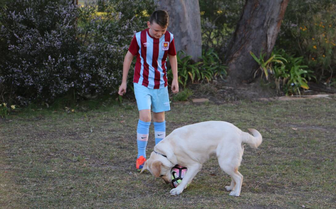 When Jett doesn't have his brother Cooper to kick a ball around with, he tags in their 18-month-old labrador. 