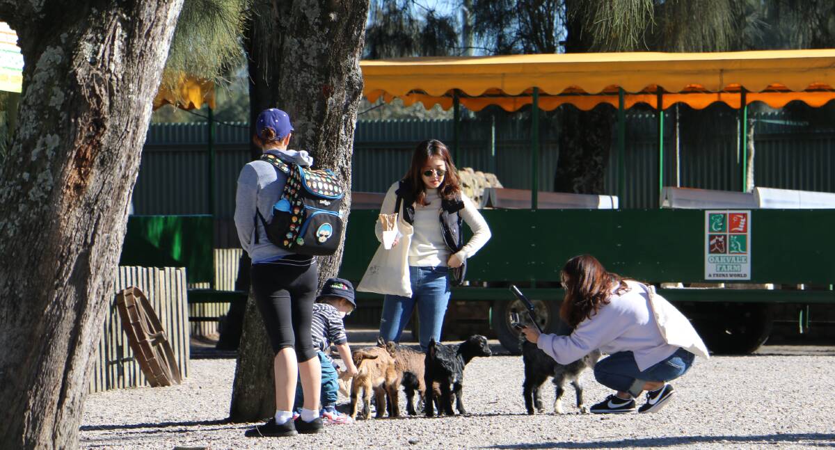 Visitors feeding the baby animals at Oakvale Farm and Fauna World on Monday. Picture: Ellie-Marie Watts