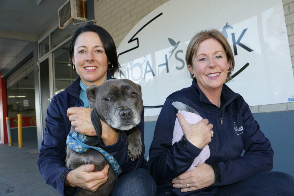 HANDS ON: Ilona Hudson and Vicky Ireland, at Noah's Ark Vet Clinic, Medowie. Picture: Stephen Wark