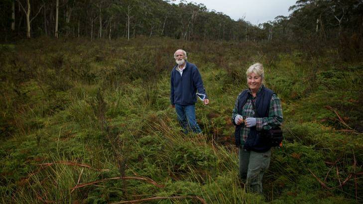 Chris Jonkers and Julie Favell from the Lithgow Environment Group explore the Carne West swamp. Photo: Wolter Peeters