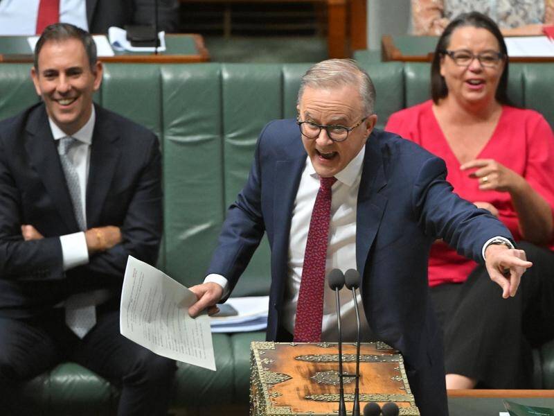 Anthony Albanese said the passage of the tax cut changes represented a "great day' for workers. (Mick Tsikas/AAP PHOTOS)