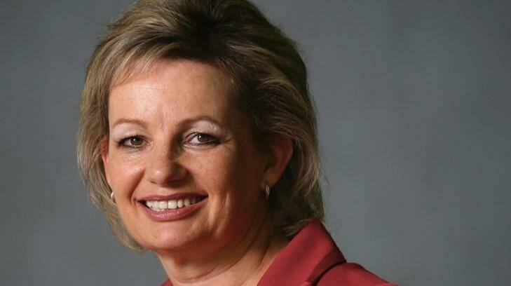 Sussan Ley. Photo: Andrew Meares