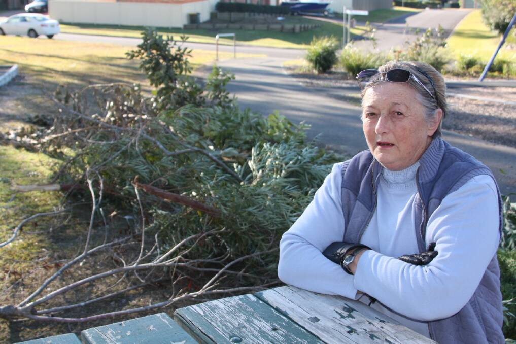 BAFFLED: Pauline Avery, from Medowie Tidy Towns, with the damaged trees at Coolabah Reserve. Picture: Stephen Wark