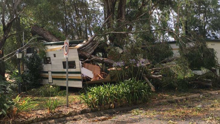 A cabin was crushed by a falling tree during storms in Mudgee. Photo: Suellen Wrightson