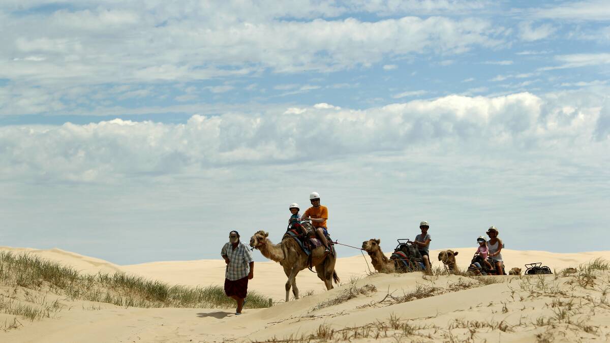 NCH NEWSHunter people on holidays in the Hunter. Picture shows people on Oakfield Ranch Camel Rides at Birubi Beach. Front camel - Dario Residovic with 2 year old son Alek, from Sydney.2nd January 2014 Newcastle NCH NEWS PIC JONATHAN CARROLL