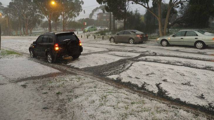 Cars are pelted with hail in Kingsford. Photo: Ying Xiang Tan