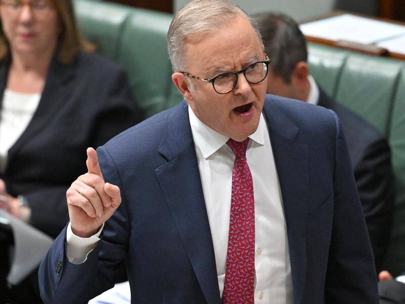 Anthony Albanese says "control of the Australian Football League" isn't part of his job description. (Mick Tsikas/AAP PHOTOS)
