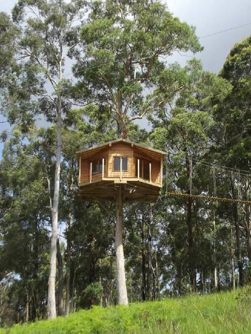 Tree house mooted for park