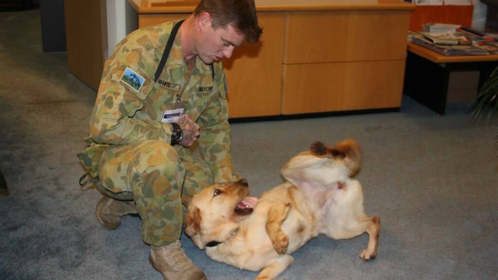 Explosive detection dog handler Jess White and Lucy investigate Port Stephens Council. 
Photos: Jessica Brown