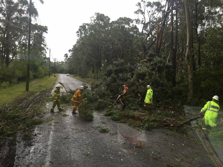 SNAPPED: Picture sourced from the Raymond Terrace Rural Fire Brigade Facebook page. Firefighters clear debirs from the road in Raymond Terrace on Tuesday.