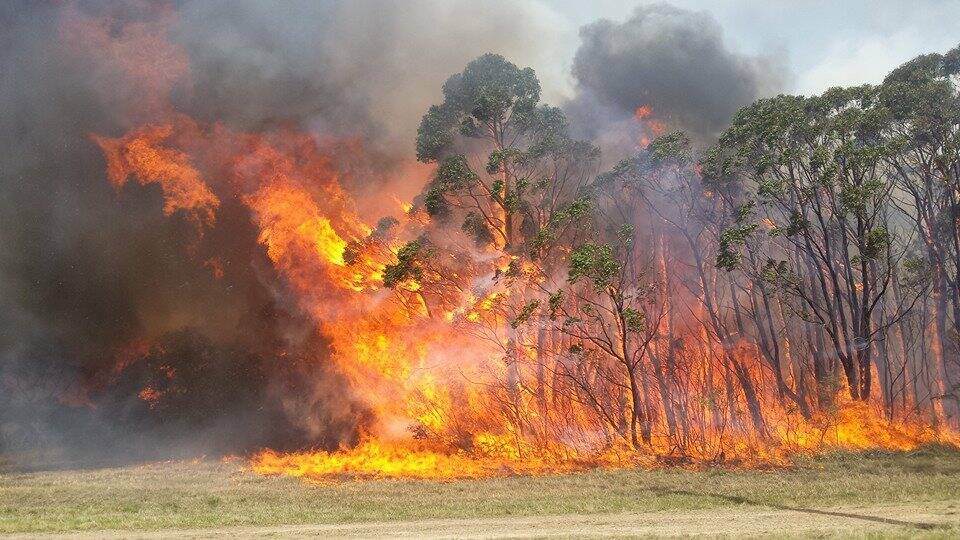 Picture by Raymond Terrace Rural Fire Brigade/Facebook.
