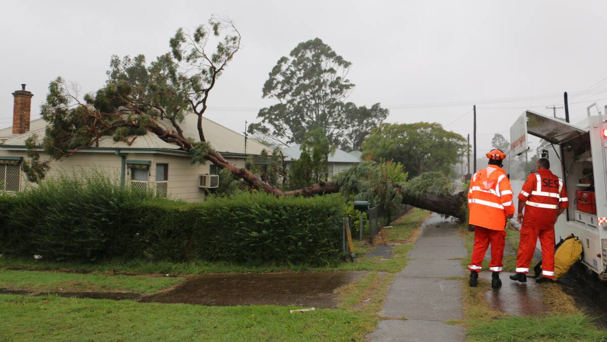 DESTRUCTION: Port Stephens SES vounteers survey damage in Raymond Terrace Tuesday morning.