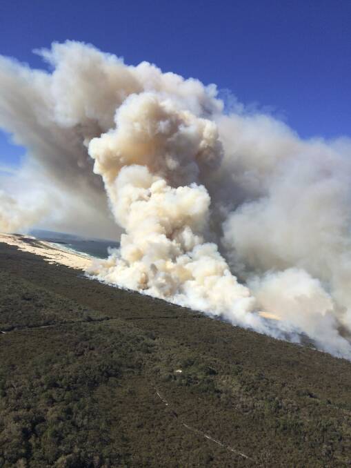 PRECAUTION: National Parks and Wildlife Service hazard reduction burn in Myall Lakes National Park on July 11.
