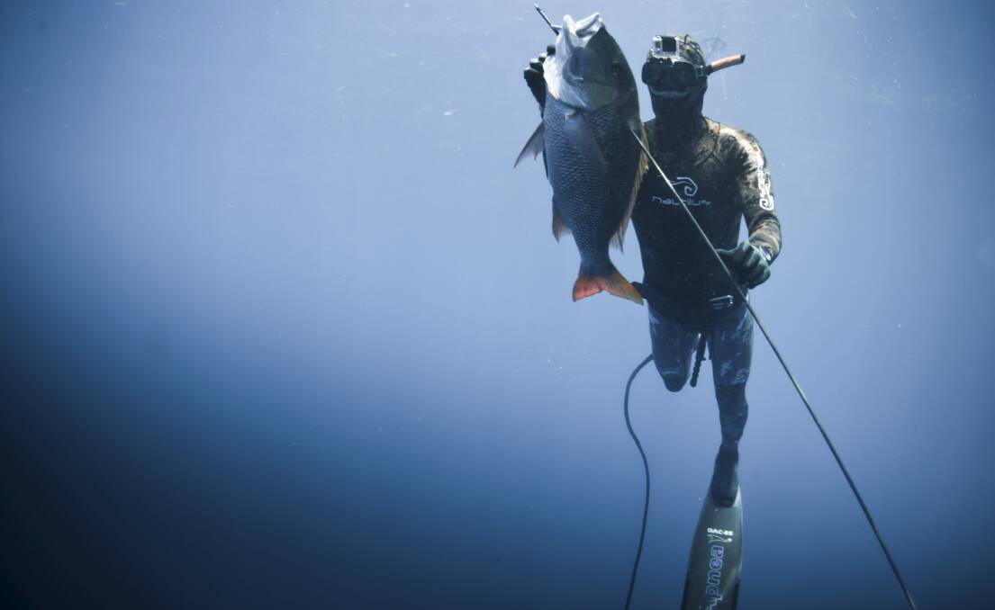 SHARK SHOCKER: Competitiors will be protected from predators while spearfishing.
