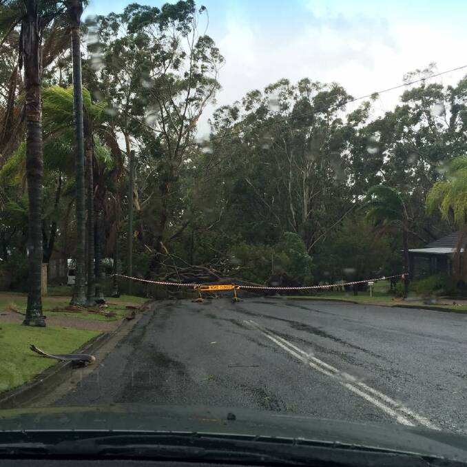 SNAPPED: Picture by Alicia Cameron - Dixon Drive, Little Beach.