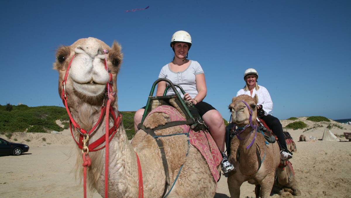 TOP SPOT: Camel rides in Port Stephens has been listed as "must do" in a list of NSW experiences.