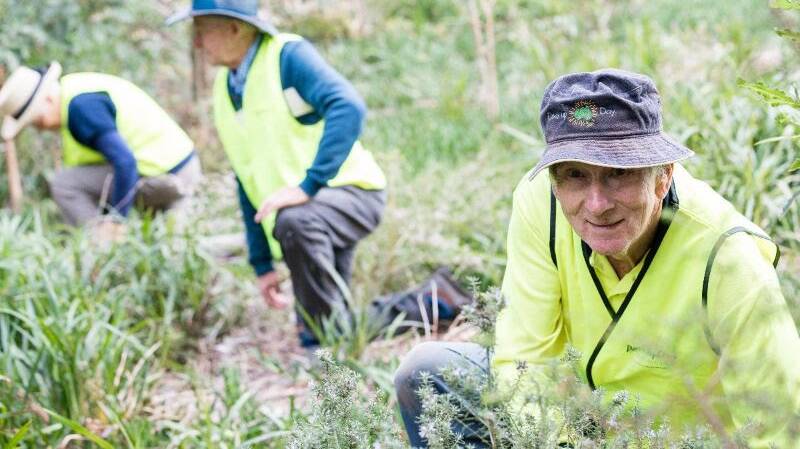 Helping out: Environmental volunteer Peter Dundas Smith. Picture: Supplied.