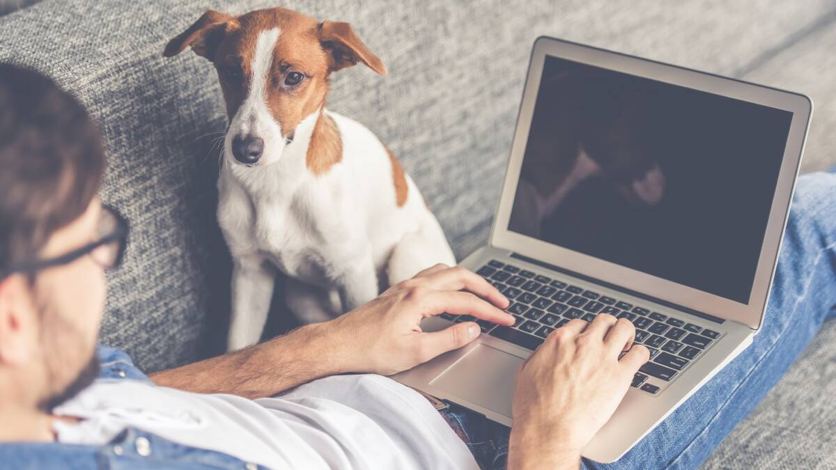 Get connected: With 10 million homes and businesses now connected to the nbn™ access network nationally, now is the time to ensure your household internet set-up is optimised to help deliver faster internet speeds. Photo: Shutterstock.
