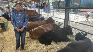Deb Charlton at the 2024 Royal Canberra Show, where she was assisting with the preparation of cattle for judging and promoting NSW Farmers.