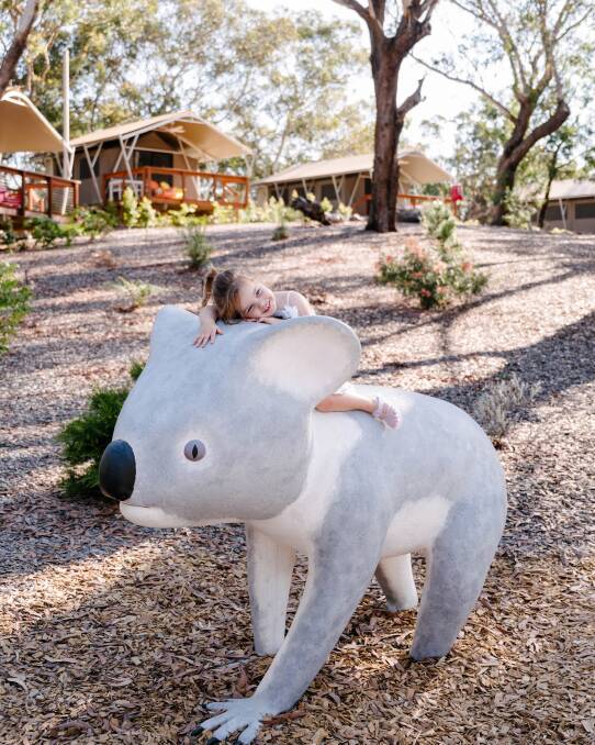 The Port Stephens Koala Sanctuary. Picture supplied