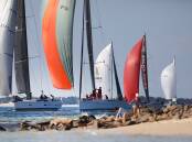 Sail Port Stephens Passage Series 2024 Day 2 beach vibes. Picture by Promocean Media