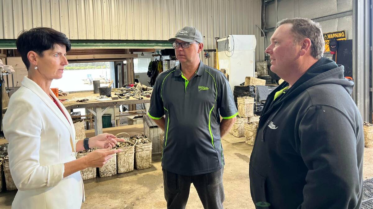 STRUGGLE: Port Stephens MP Kate Washington with Steven and Dean Cole from Cole Bros Oysters in Karuah. The business is closed due to the loss of oysters to QX. Picture: Kate Washington MP